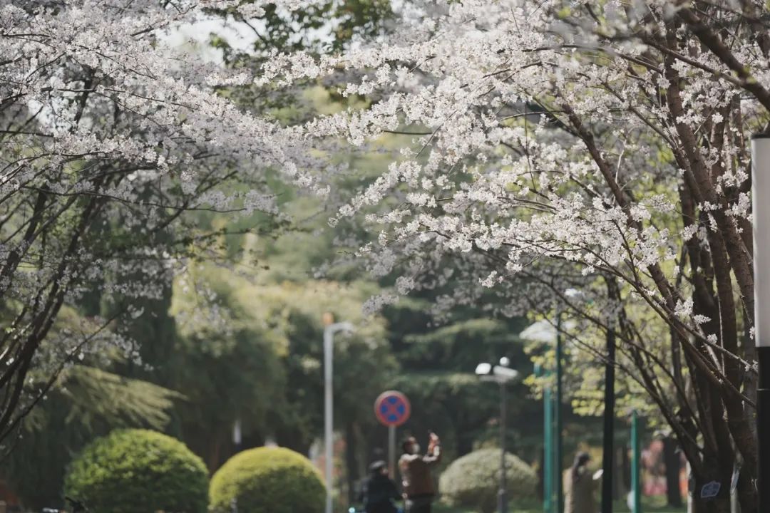 網申延期丨2024年入學上財MBA/EMBA第一批預面試網申截止時間延長至5月3日24時