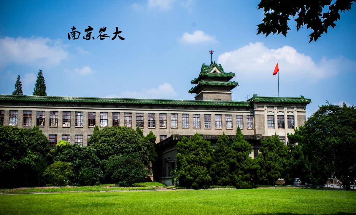 南京農業大學師生積極采用網絡模式推進研究生學位論文預答辯工作